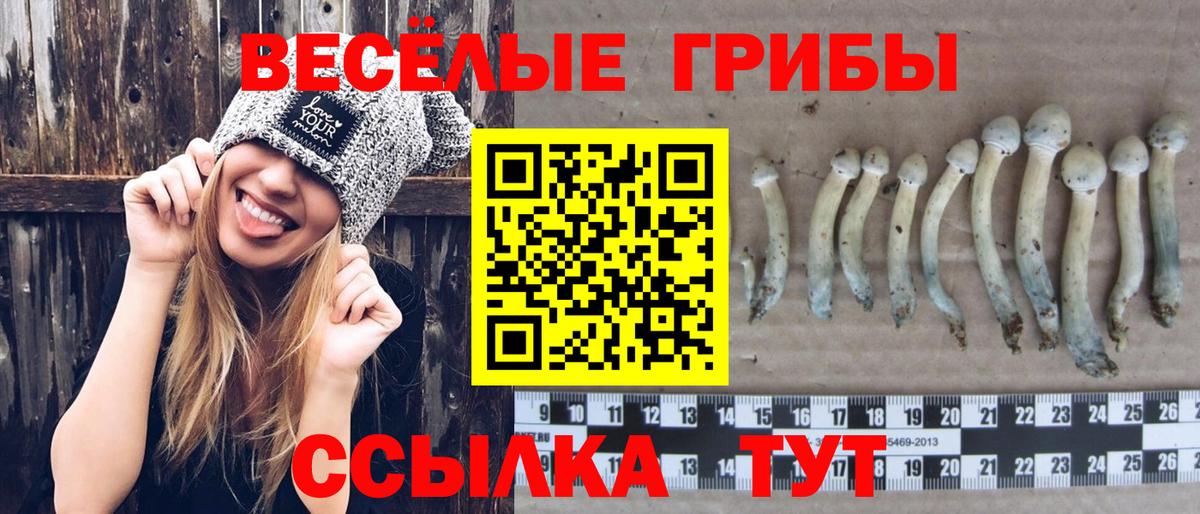 Галлюциногенные грибы прущие грибы Тавда